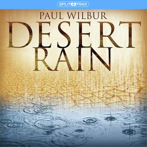 Desert Rain (Split Trax)