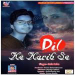 Dil Ke Karib Se artwork