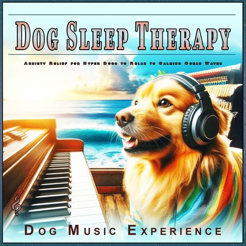 Dog Sleep Journey cover art