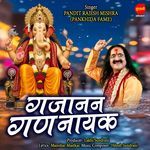 Gajanan Gannayak