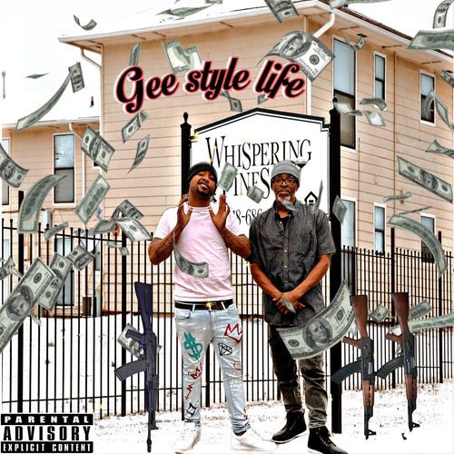 Gee Style Life cover art
