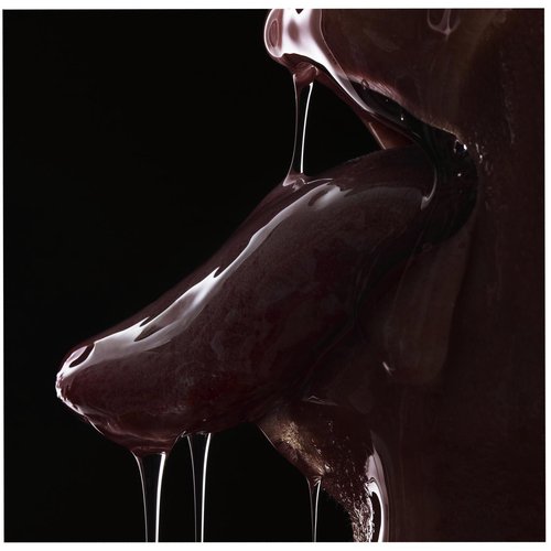 Honey Tongue cover art