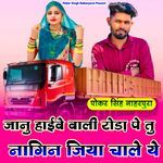 Janu Highway Wali Roada Pe Tu Nagin Jiya Chale Ye