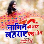 Nagin Ki Tarah Lehraye Dupatta Tera