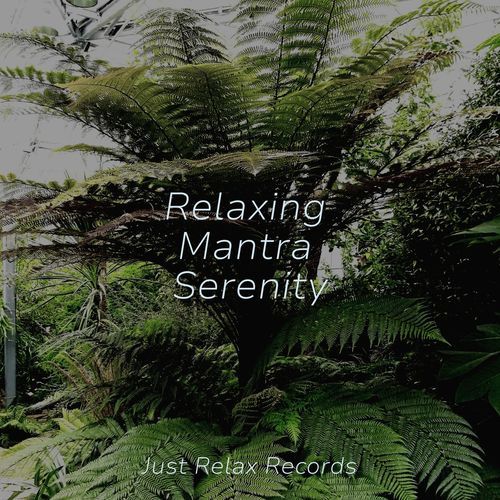 Relaxing Mantra Serenity