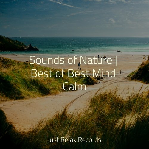 Sounds of Nature | Best of Best Mind Calm