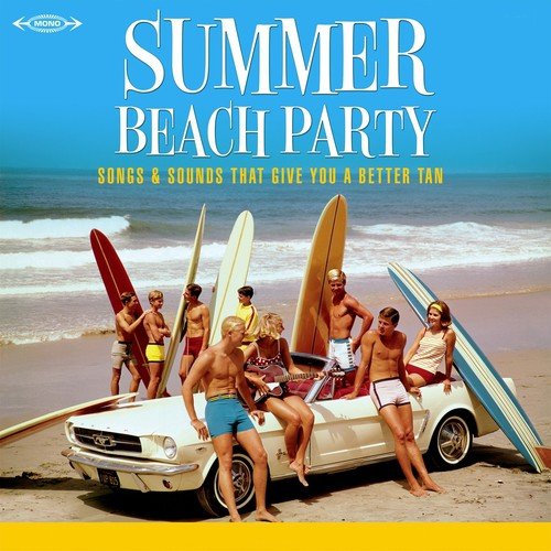 Summer Beach Party (Songs & Sounds Who Give You a Better Tan)
