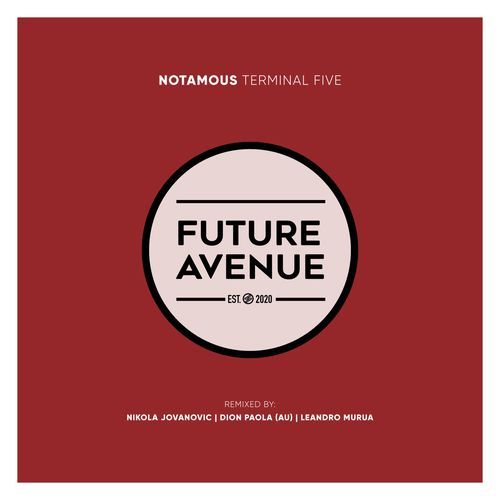 Terminal Five (Nikola Jovanovic Remix) cover art