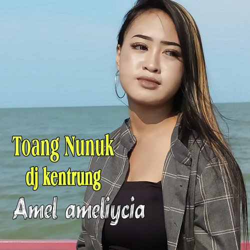 Toang Nunuk Dj Kentrung cover art