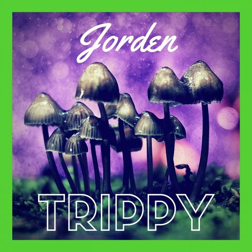 Jorden