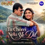 Tu Chorei Nelu Ye Dil (From Bajrangi)