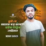 Tui Je Amar Shopno Vangli Hoiya Nithur Beiman