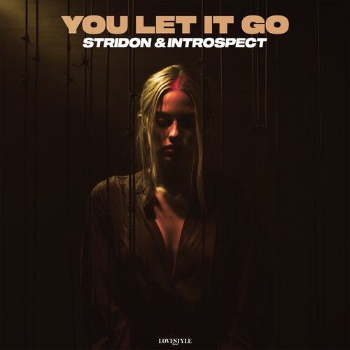 You Let It Go_poster_image