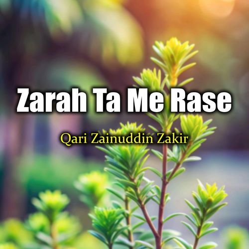 Zarah Tah Me Rashye