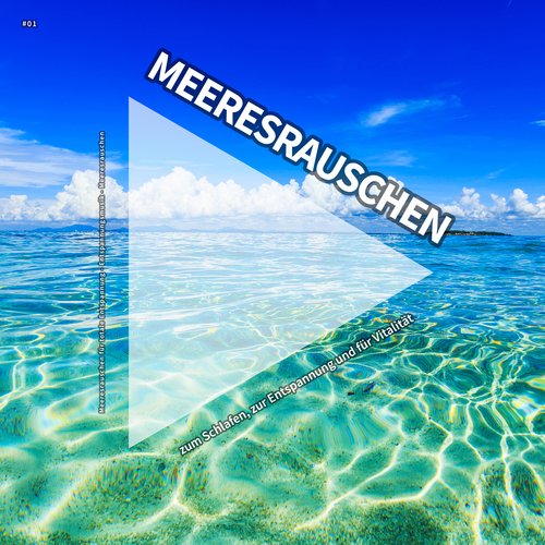 Wellness cover art