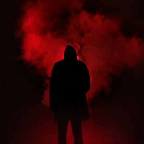 100% ILEGAL cover art