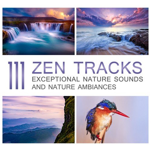 111 Zen Tracks: Exceptional Nature Sounds and Nature Ambiances With Rainforest, Waterfall, Calm Waves & Singing Birds for Relaxation - Yoga Meditation