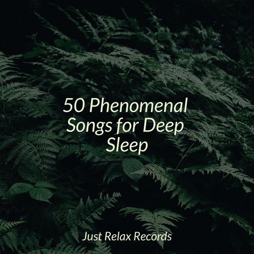 50 Phenomenal Songs for Deep Sleep