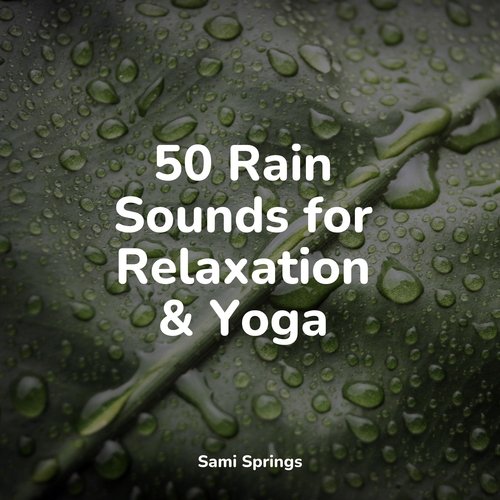 50 Rain Sounds for Relaxation & Yoga