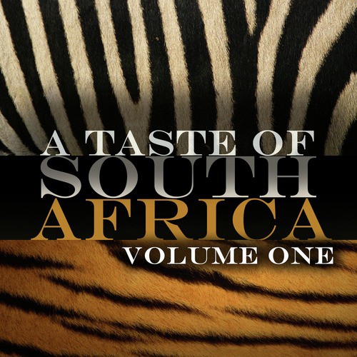 A Taste Of South Africa Vol 1
