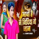 Aabo Hai Nau Nindiya Ge Jaan