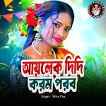 Aailek Didi Karam Porab