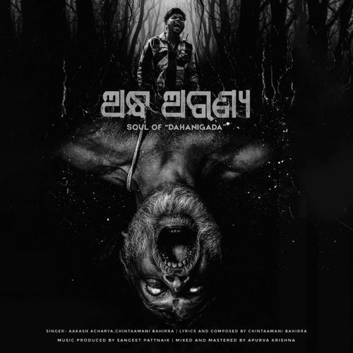 Andha Aranya (Soul of Dahanigada)