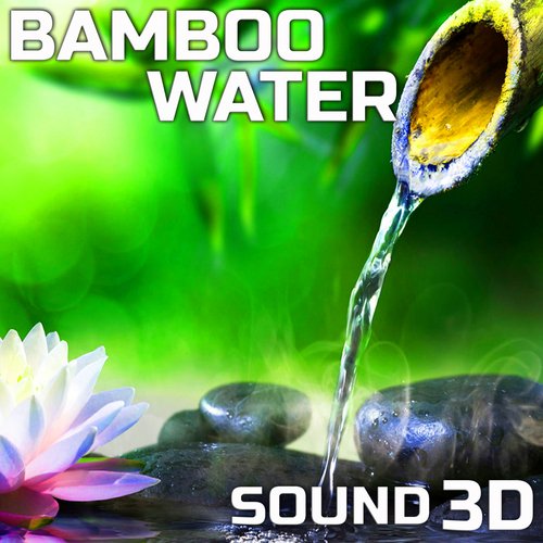 Bamboo Water Sound (feat. Bamboo Water Sounds FX, Healing Water Sound 3D, Feel Good Sounds 3D, Water Therapy Sound 3D, Bamboo Water Therapy Sound & Healing Bamboo Water Sound 3D) (3D) cover art