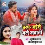 Baraf Jaise Gale Jawani