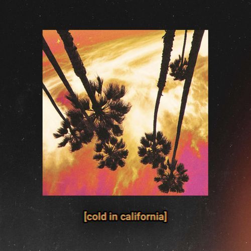 Cold In California_poster_image