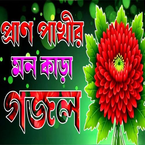 Dekha Dao Rasulullah
