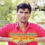 Dil Su No Do Gyarah Hoja