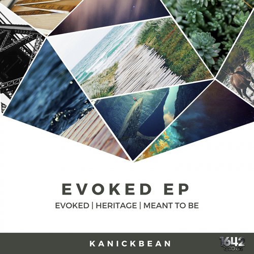 Evoked cover art