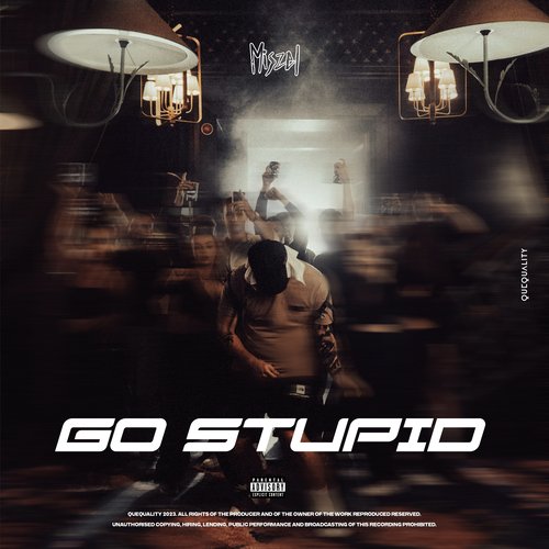 GO STUPID_poster_image