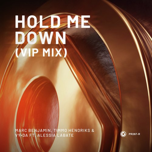 Hold Me Down (VIP Mix)