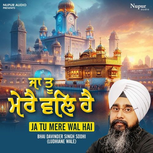 Ja Tu Mere Wal Hai