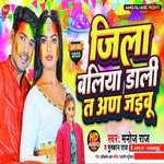 Jila Baliya Dali T Adi jaibu