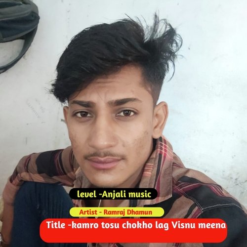 Kamro Tosu Chokho Lag Visnu Meena