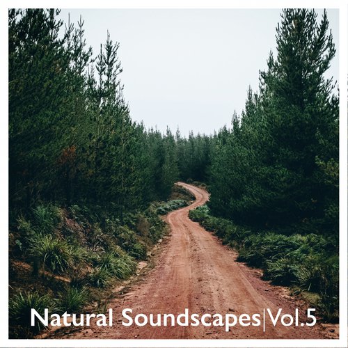 Natural Soundscapes, Vol. 5