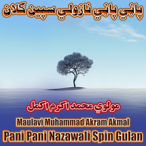 Pani Pani Nazawalai Spin Gulab