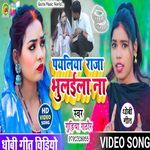Payaliya Raja Bhulaila Na