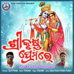 SRI KRUSHNA PREMARE