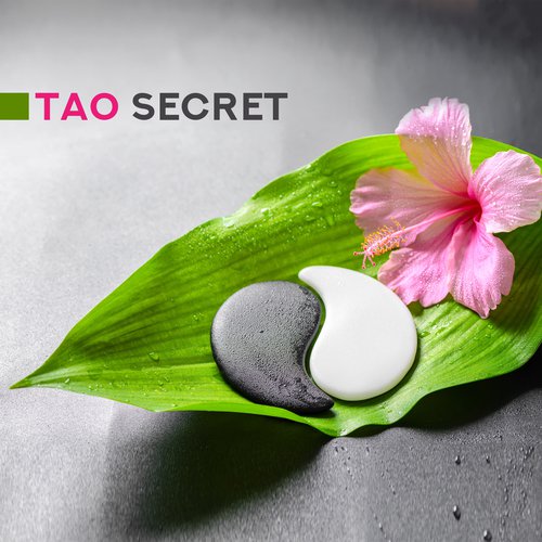 Tao Te Ching cover art