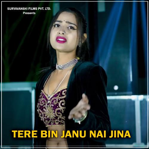 Tere Bin Janu Nai Jina (DJ Remix)