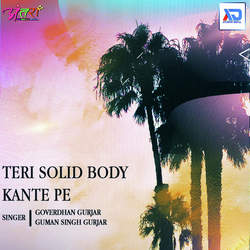 Teri Solid Body Kante Pe-RlgKfCsdc10