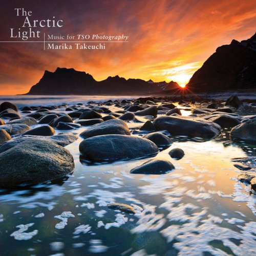 The Arctic Light cover art