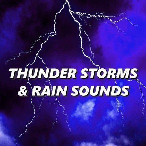 Rain & Thunder Sounds cover art