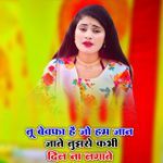 Tu Bewafa Hai Jo Ham Jan Jate Tujhse Kabhi Dil Na Lagate