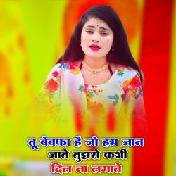 Tu Bewafa Hai Jo Ham Jan Jate Tujhse Kabhi Dil Na Lagate