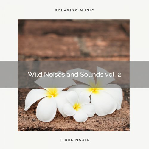 Universal Zen of Nature for Hard Relax pt. 2 cover art